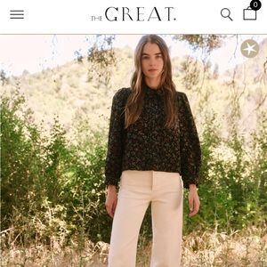 THE GREAT Pintuck Hemingway Top- brand new, never worn!